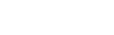 Company Logo 2