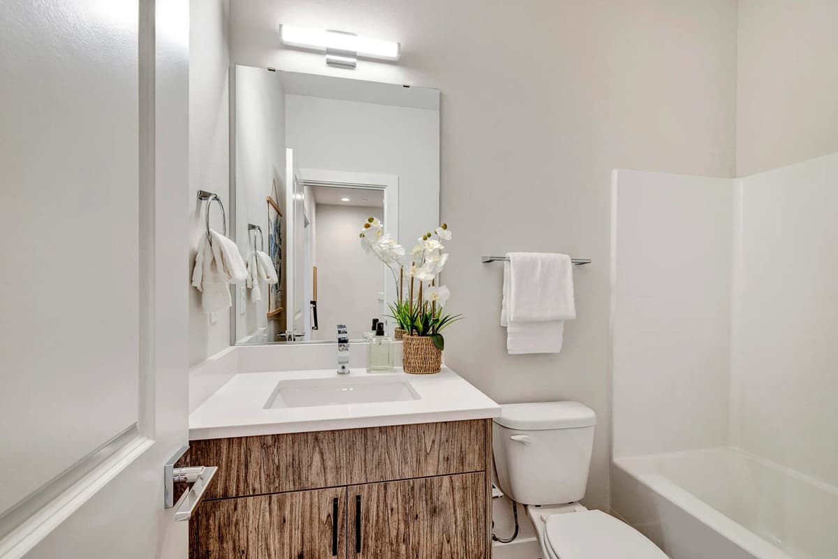 Gallery image 19-2